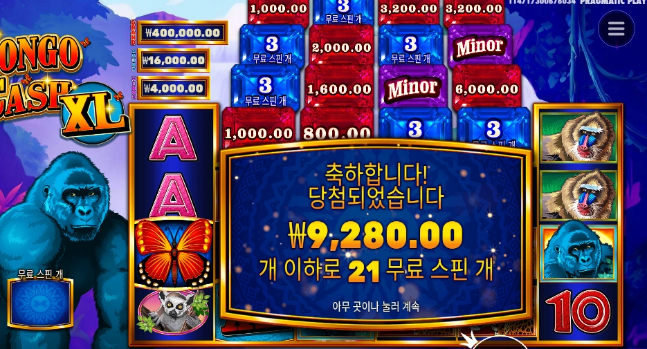 콩고 캐시 xl 21스핀