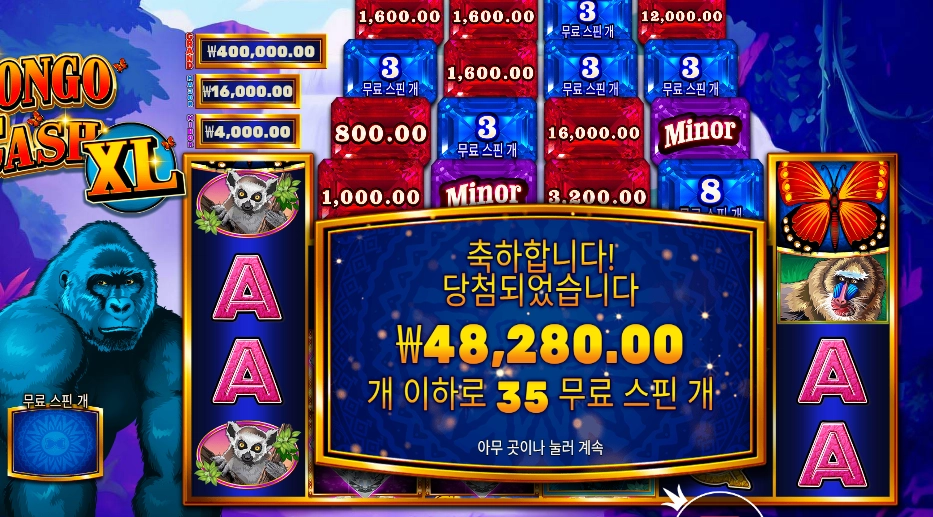 콩고 캐시 ＸＬ ２４１배