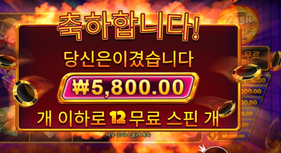 캐시 칩스 １２스핀