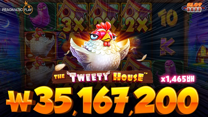 트위티 하우스 🔥당첨금 3,500만원🔥  x1,465배 빅윈!! [프라그마틱]