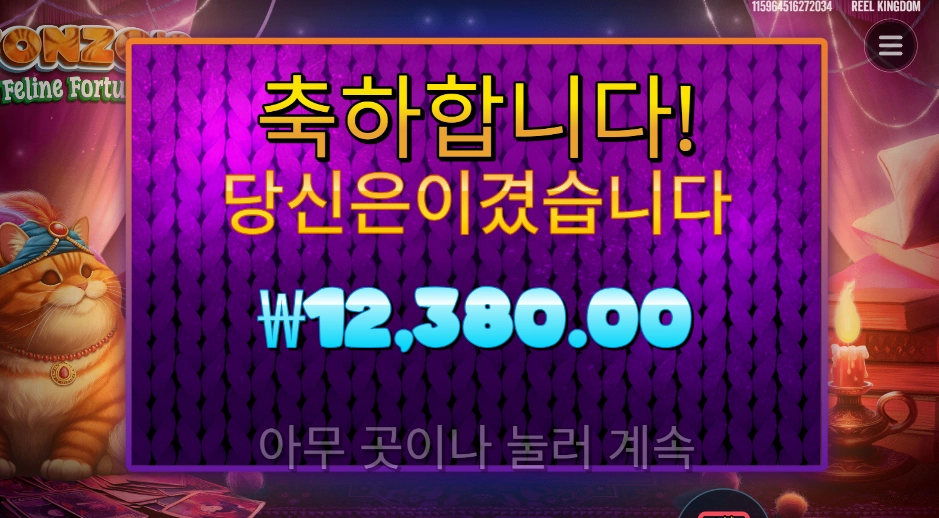 폰조 필라인 포춘스 12천원