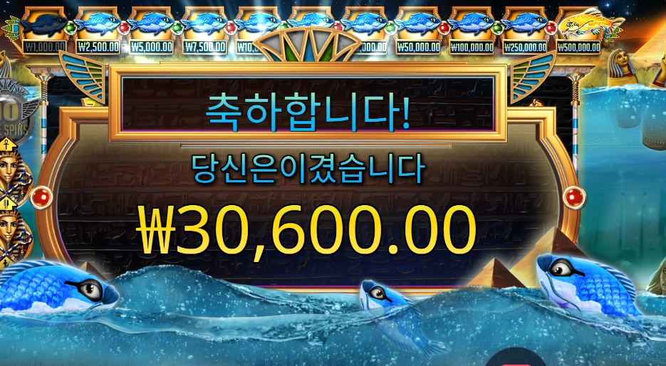 피시 아이 5콩 배팅