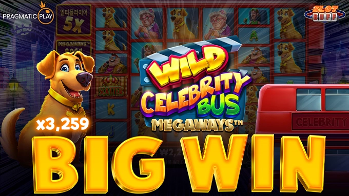 와일드 셀러브리티 버스 메가웨이즈 x3,259배 빅윈!! [프라그마틱]