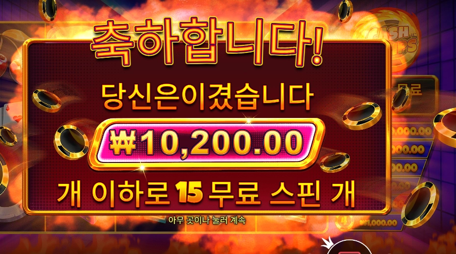 캐시 칩스 10천원