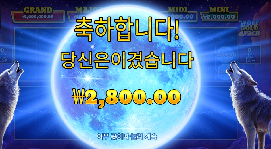 울프 골드 4 팩 2800원