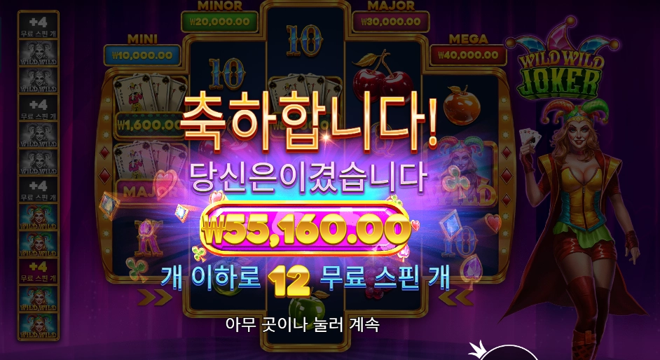 와일드 와일드 조커 55천원