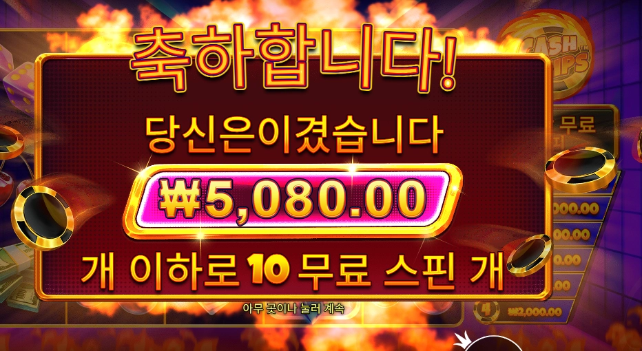 캐시 칩스 후기