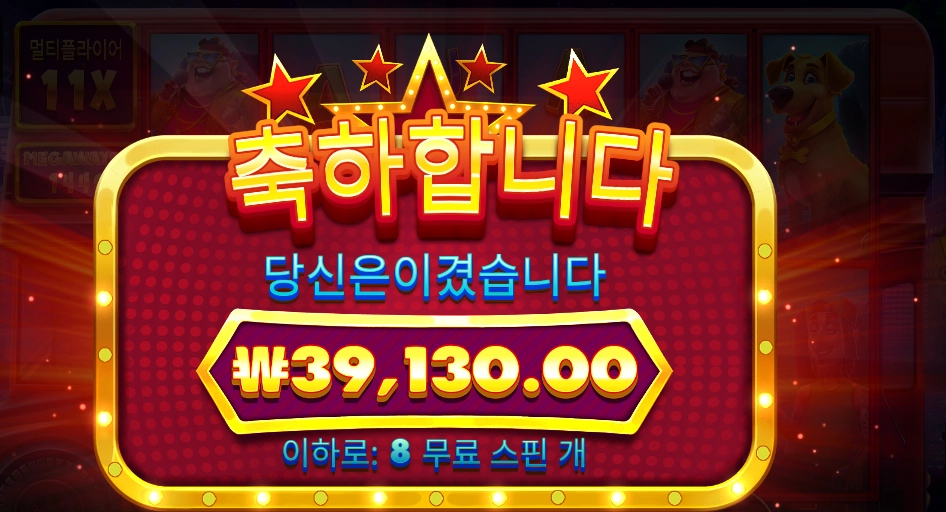 와일드 셀러브리티 버스 196배