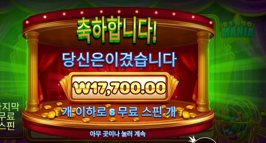 빙고 마니아 17천원