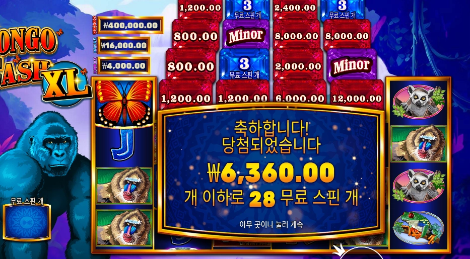 콩고 캐시 XL 28스핀