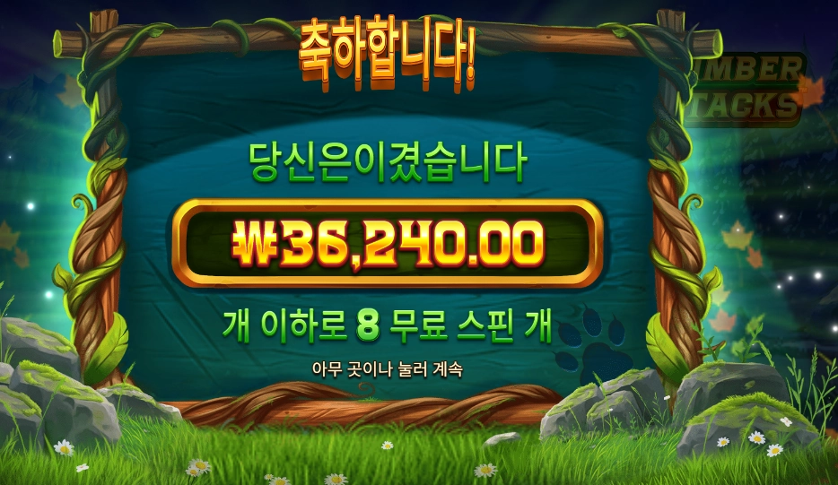 팀버 스택스 181배