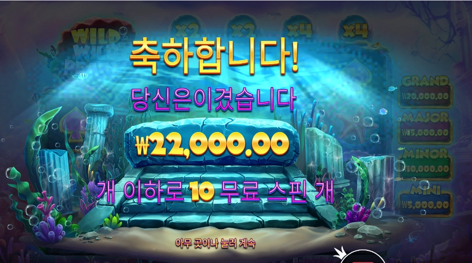 와일드 와일드 펄스 22천원