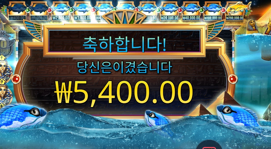 피시 아이 5천원