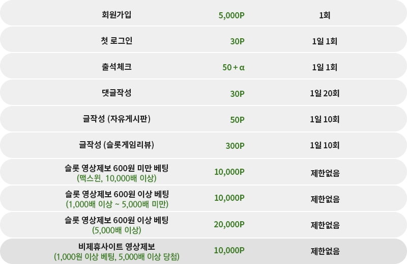 포인트 적립 및 사용 안내