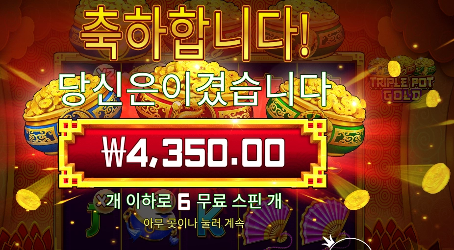 트리플 팟 골드 ６바퀴
