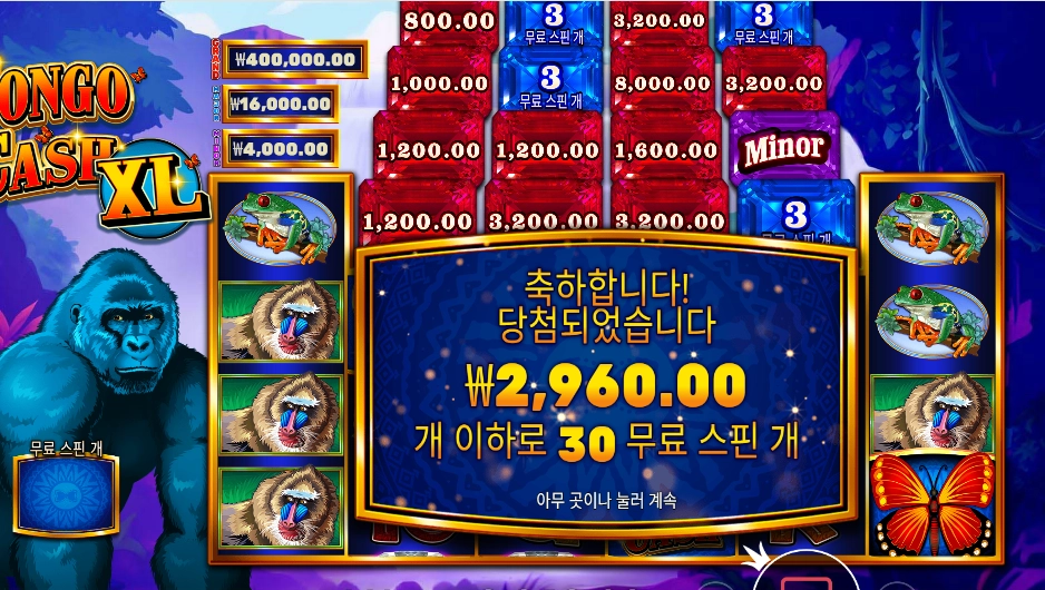 콩고 캐시 30스핀