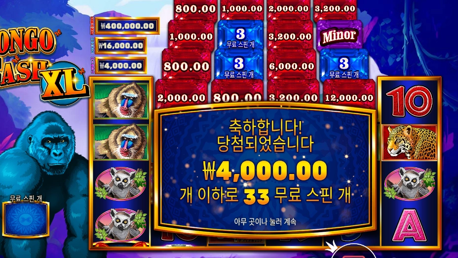 콩고 캐시 XL 33스핀