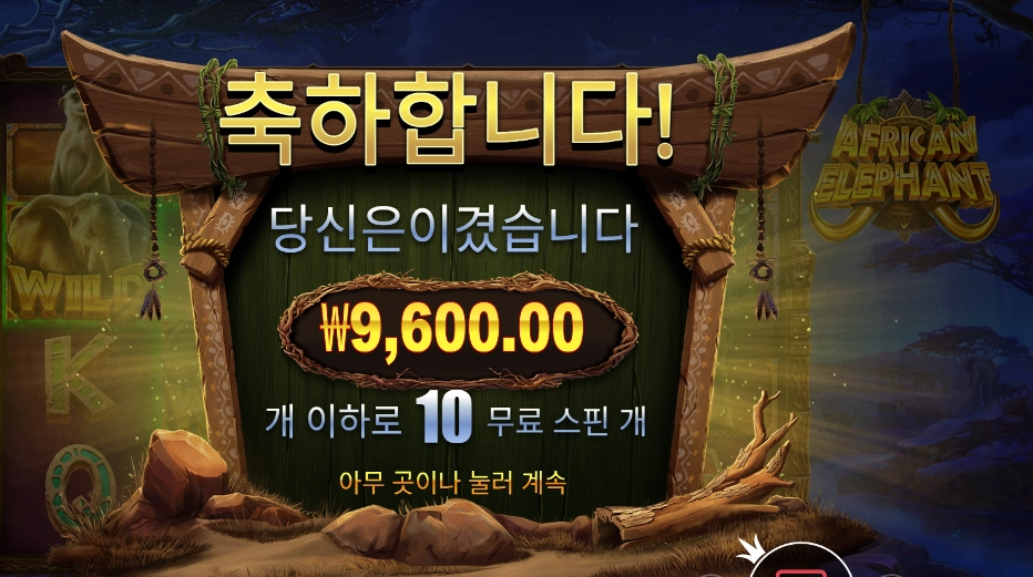 아프리카 코리끼