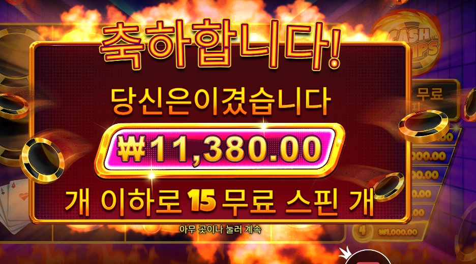 캐시 칩스 11천원