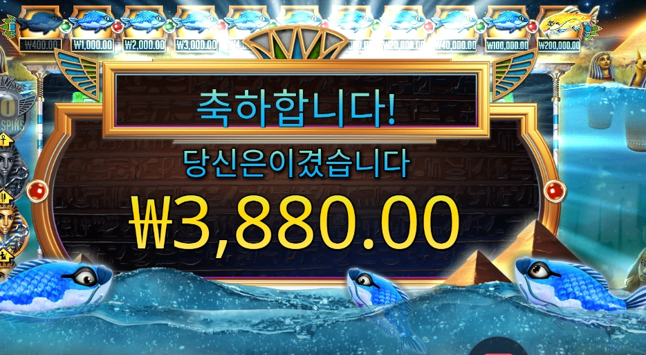 피시 아이 후기