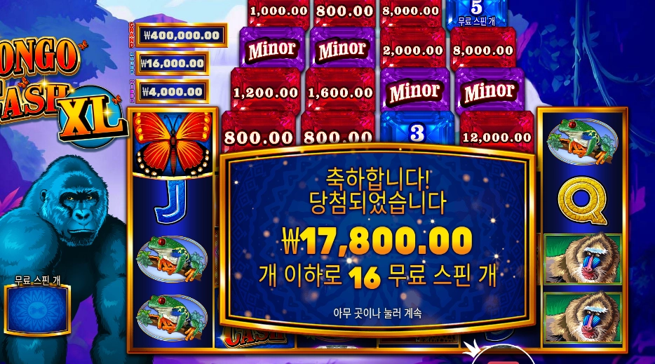 콩고 캐시 ２콩 배팅