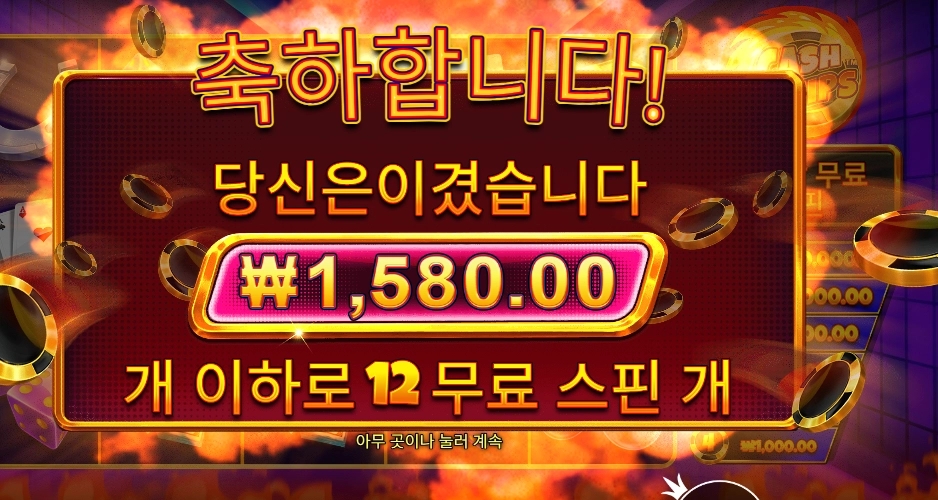 캐시 칩스 12스핀