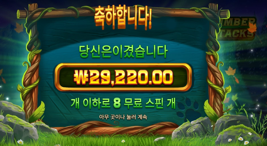 팀버 스택스 29천원