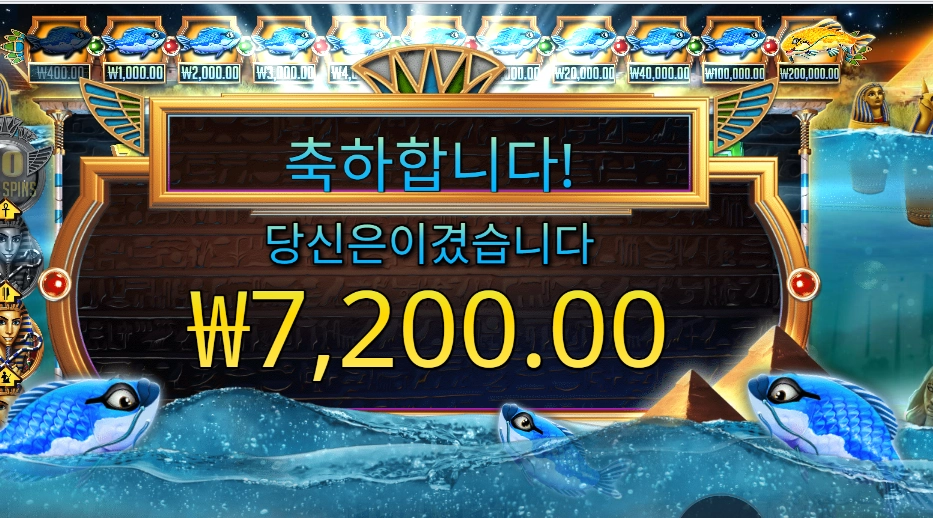 생선들이 미워지네