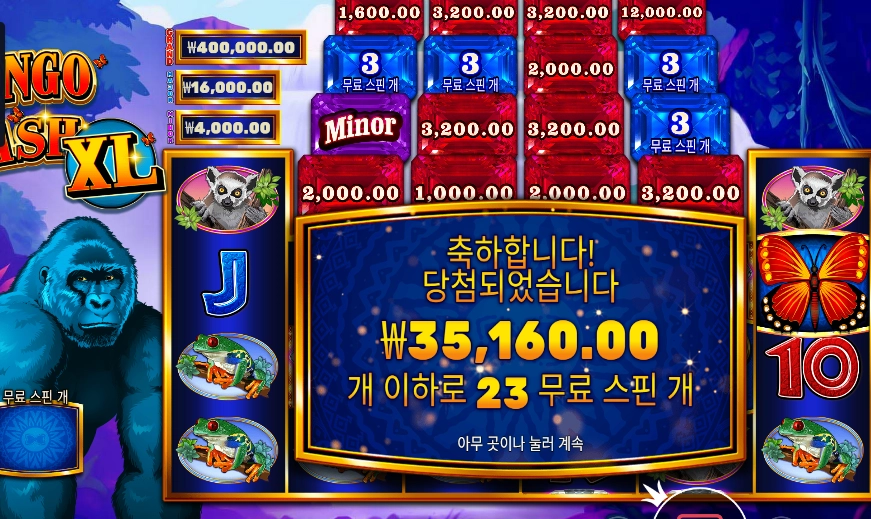 콩고 캐시 XL 175배