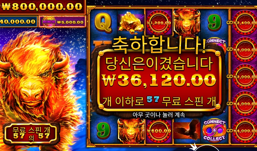 파이어 스탬피드 ５７스핀