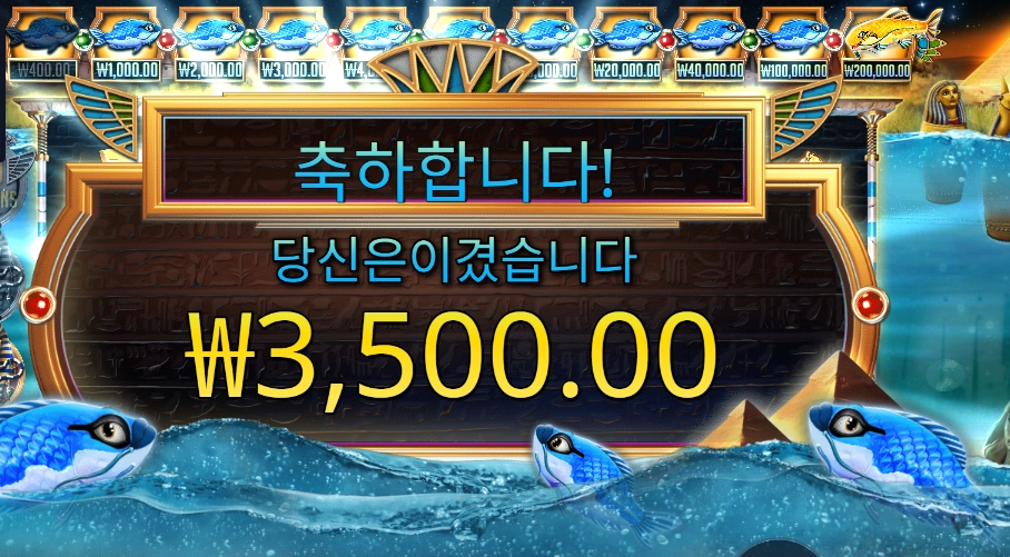 피시 아이 후기