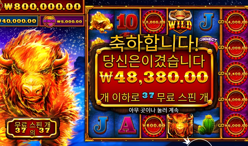 파이어 스탬피드 48천원