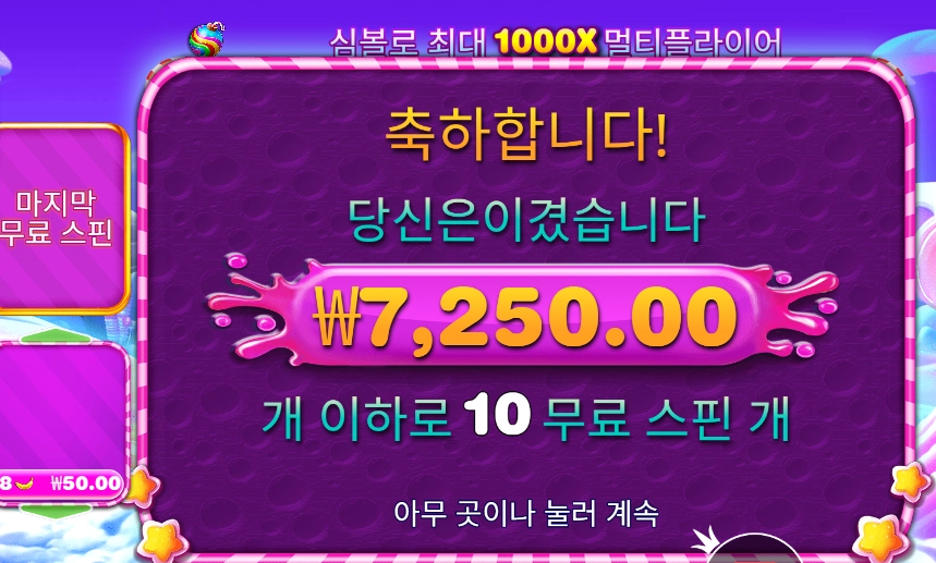 보난자 1000