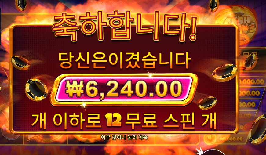 캐시 칩스 12스핀