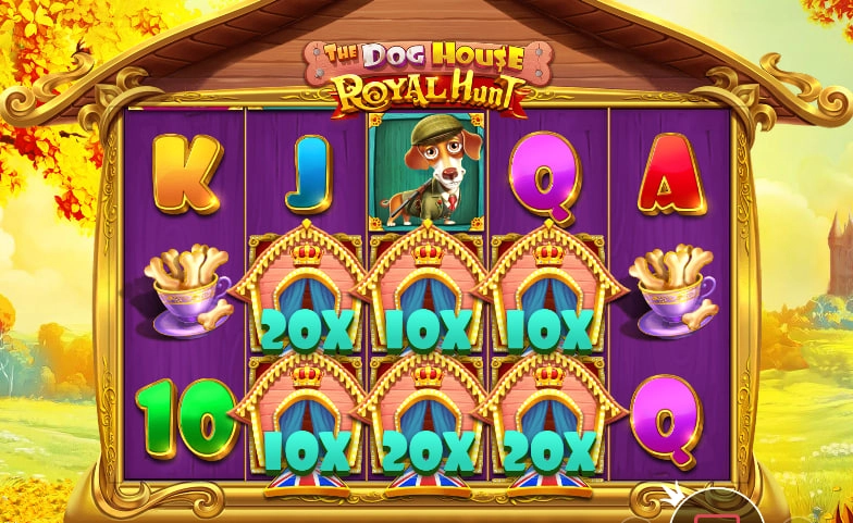 바오 슬롯 도그하우스 후기