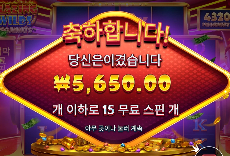 블레이징 와일드 ５천원