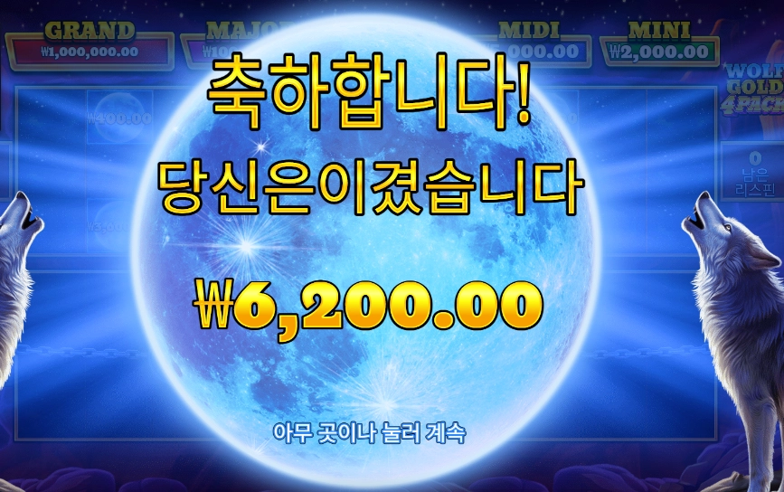 울프 골드 4 팩 2콩 배팅