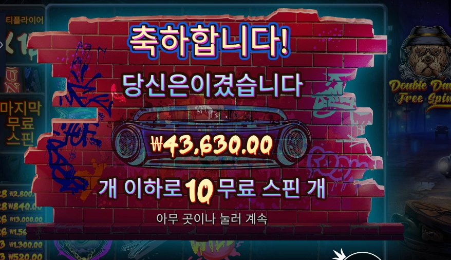 더블 독 5콩 배팅