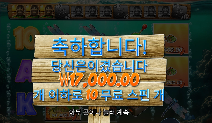 보난자 1000