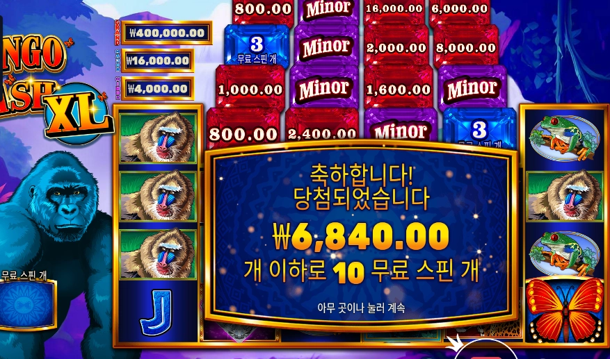 콩고 캐시 XL 6천원