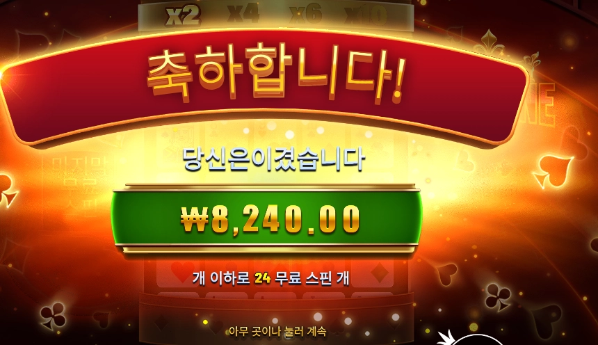 포춘 애이스 24스핀