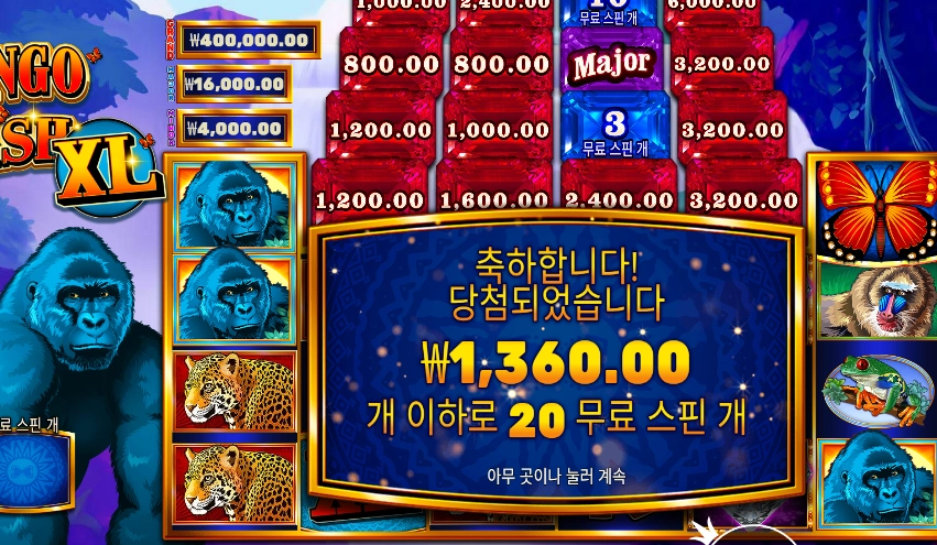 콩고 캐시 XL 2콩 배팅