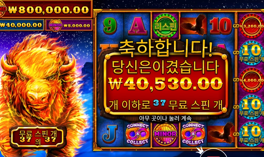 파이어 스탬피드 ２０２배