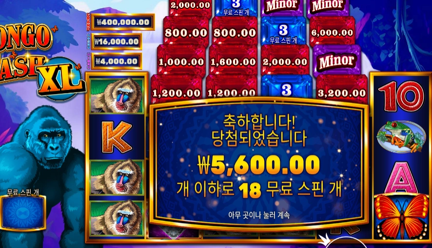 콩고 캐시 XL 18스핀