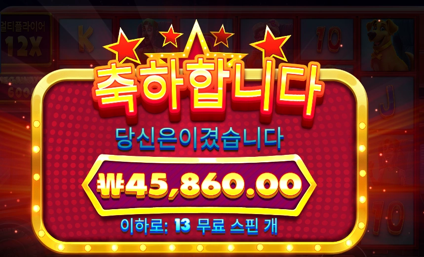 와일드 셀러브리티 버스 메가웨이즈 229배