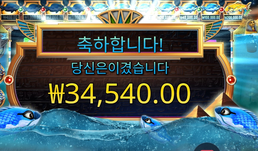 피시 아이 34천원