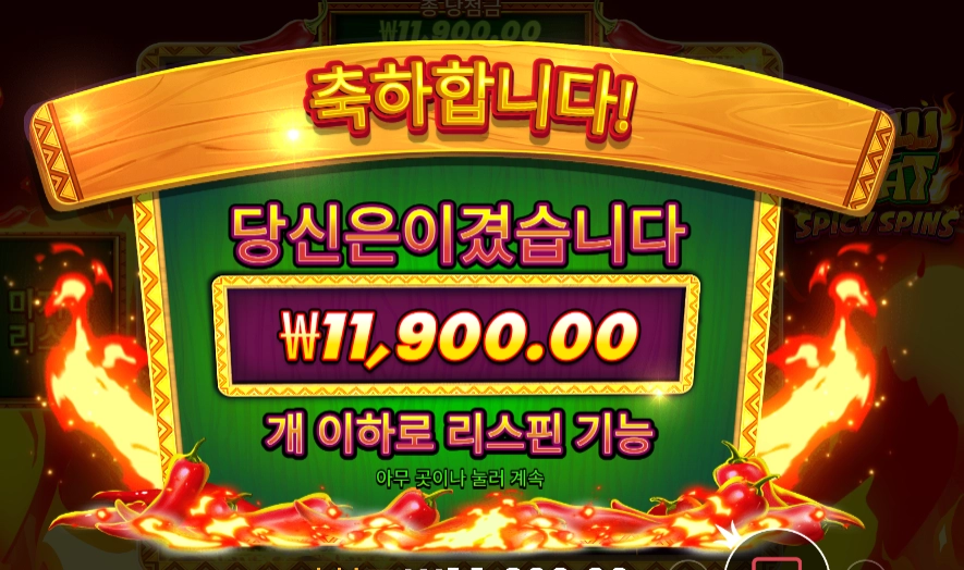 스파이시 스핀 11천원