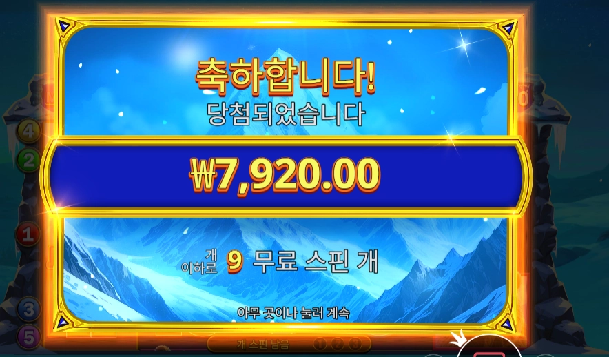 히말라얀 와일드 ６콩 배팅