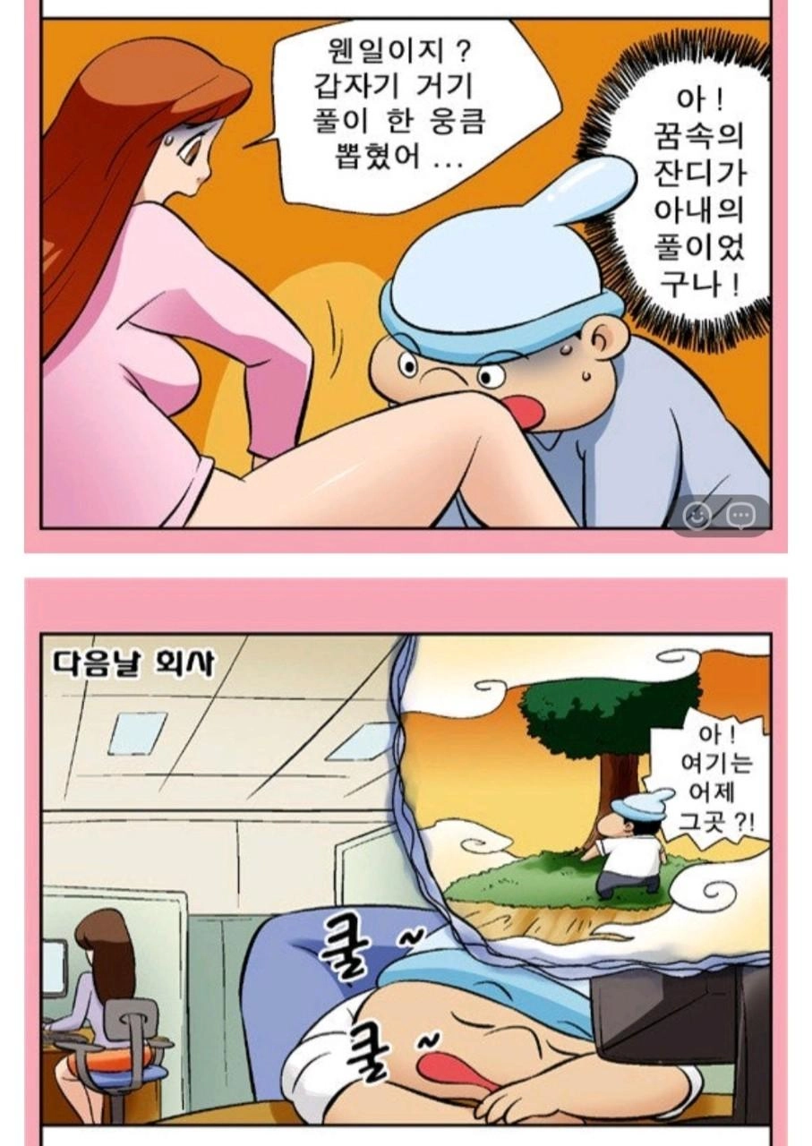 아내의 정원