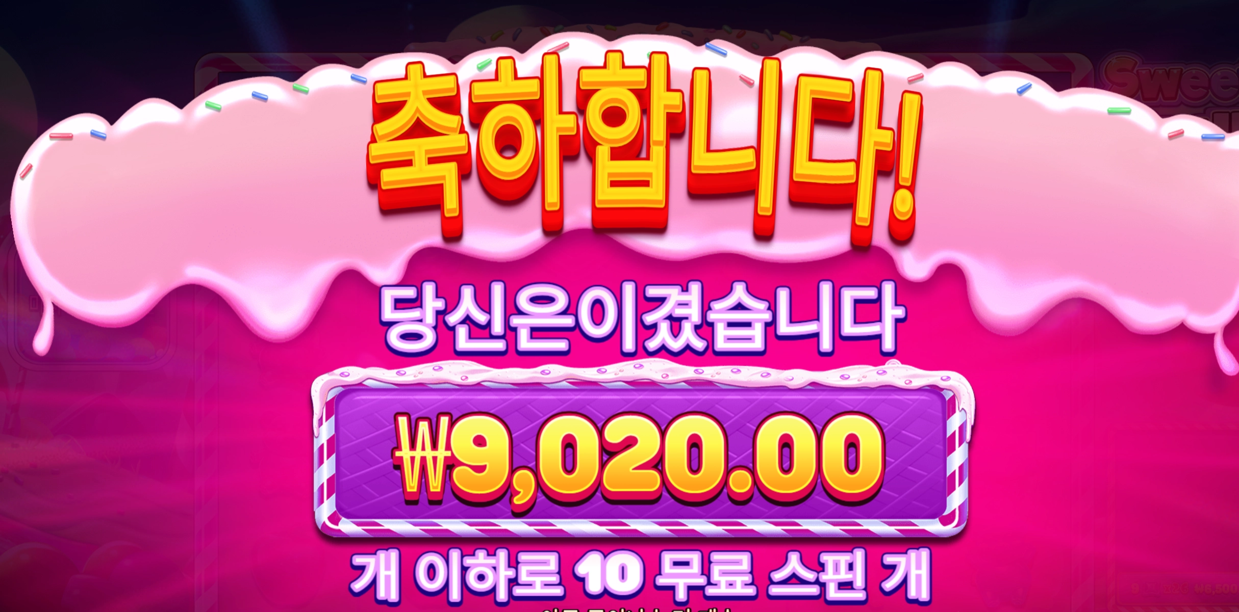 스위트보난자  4콩 베팅